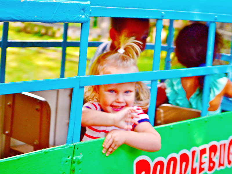 Is Idlewild Park for Toddlers? 9 Reasons to Go with Small Kids (2024)